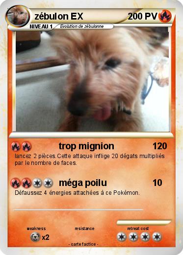 Pokemon zébulon EX