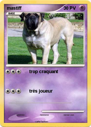 Pokemon mastiff