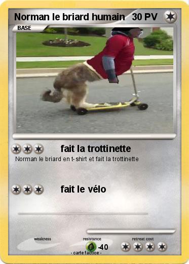 Pokemon Norman le briard humain