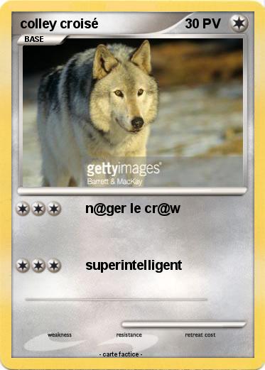 Pokemon colley croisé