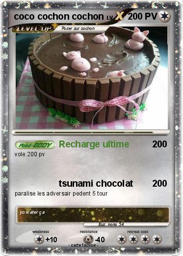 Pokemon coco cochon cochon
