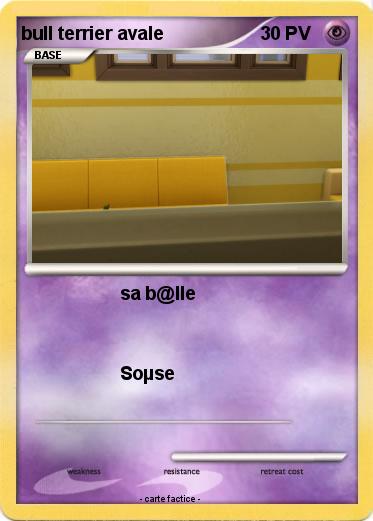 Pokemon bull terrier avale