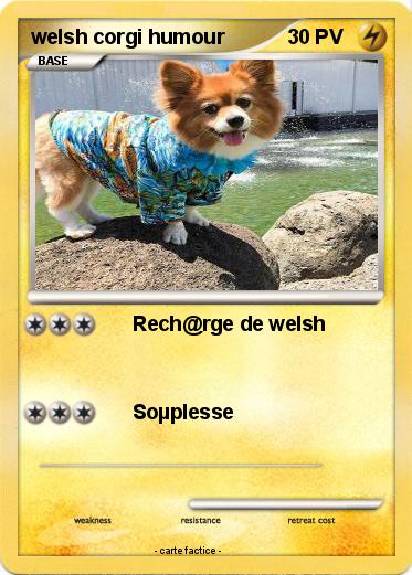 Pokemon welsh corgi humour