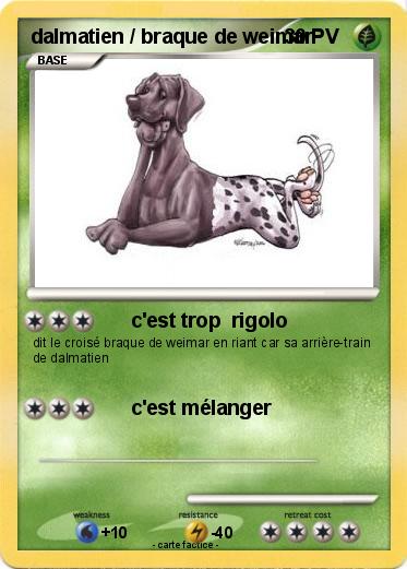 Pokemon dalmatien / braque de weimar