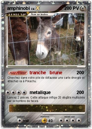 Pokemon amphinobi