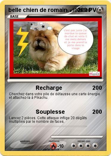 Pokemon belle chien de romain