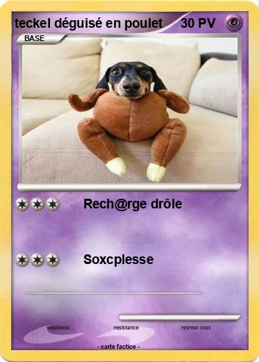 Pokemon teckel déguisé en poulet