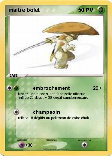 Pokemon maître bolet