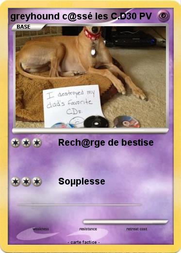 Pokemon greyhound c@ssé les C.D
