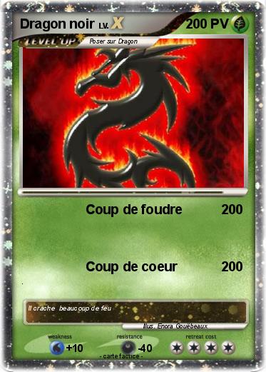 Pokemon Dragon noir
