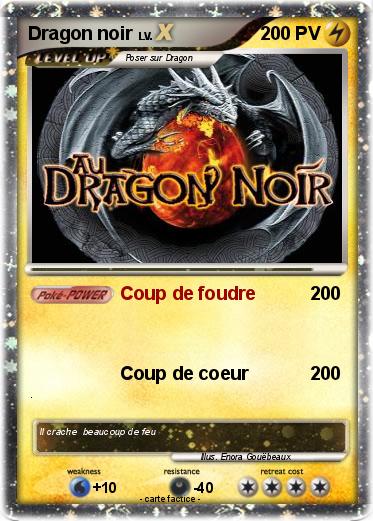 Pokemon Dragon noir