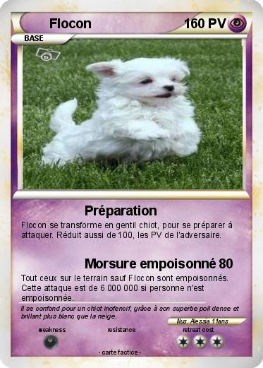 Pokemon Flocon