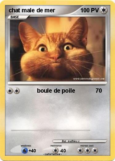 Pokemon chat male de mer