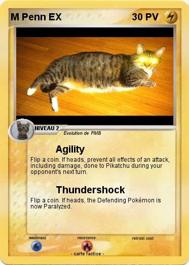 Pokemon M Penn EX