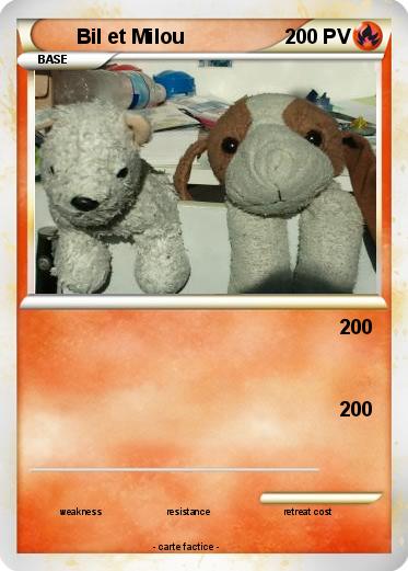 Pokemon Bil et Milou