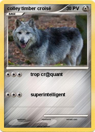 Pokemon colley timber croisé