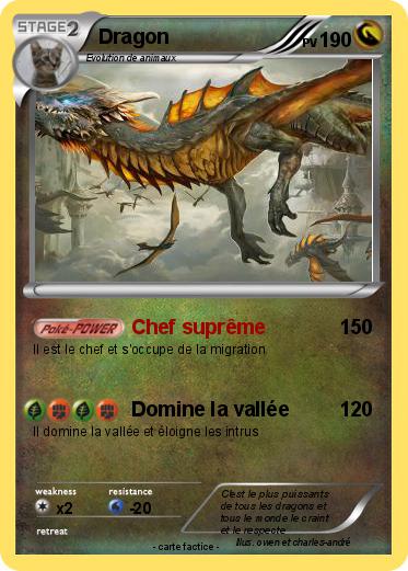Pokemon Dragon