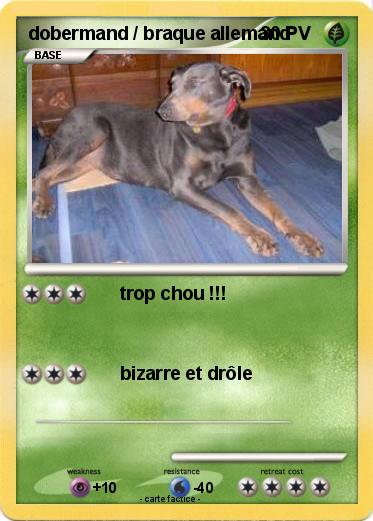 Pokemon dobermand / braque allemand
