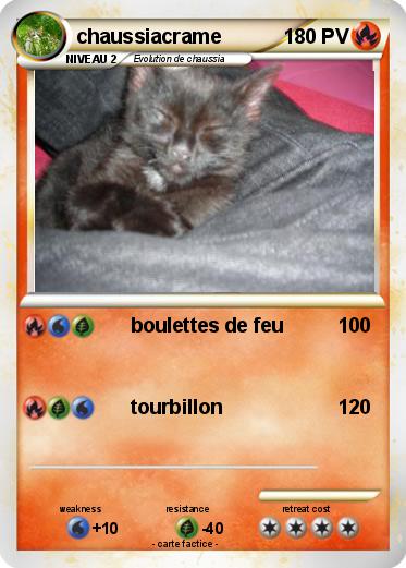 Pokemon chaussiacrame