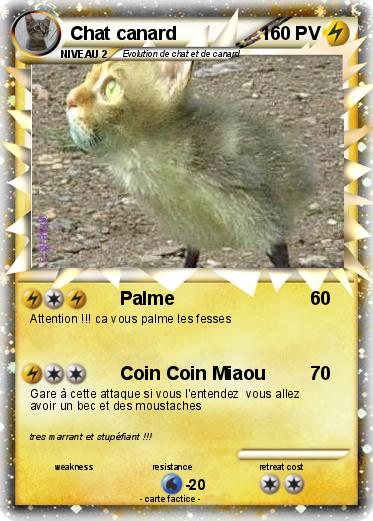 Pokemon Chat canard