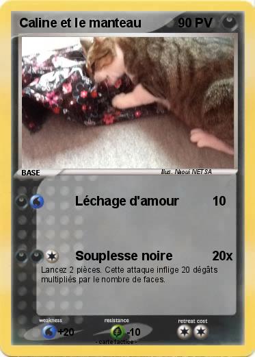 Pokemon Caline et le manteau