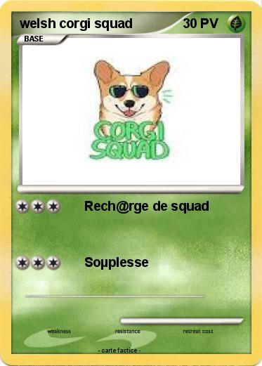 Pokemon welsh corgi squad