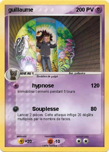 Pokemon guillaume