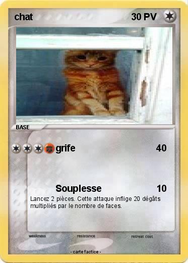 Pokemon chat