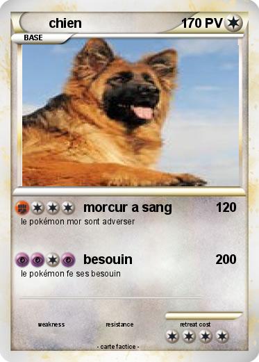 Pokemon chien