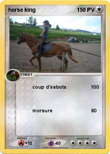 Pokemon horse king