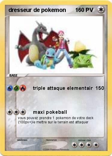 Pokemon dresseur de pokemon      1