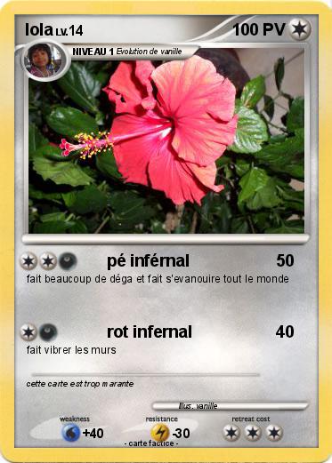 Pokemon lola