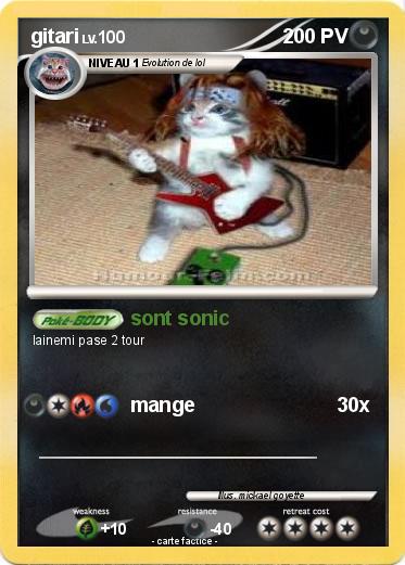 Pokemon gitari
