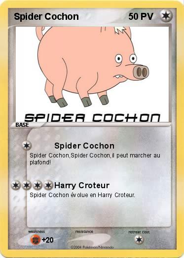 Pokemon Spider Cochon