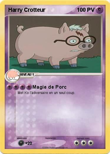 Pokemon Harry Crotteur