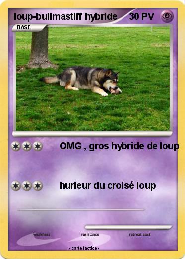 Pokemon loup-bullmastiff hybride