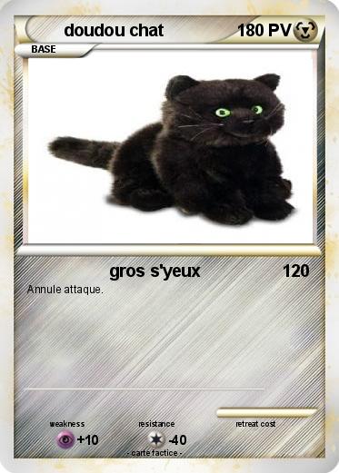 Pokemon doudou chat