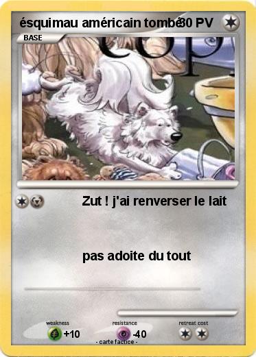 Pokemon ésquimau américain tombé