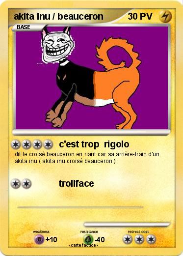 Pokemon akita inu / beauceron