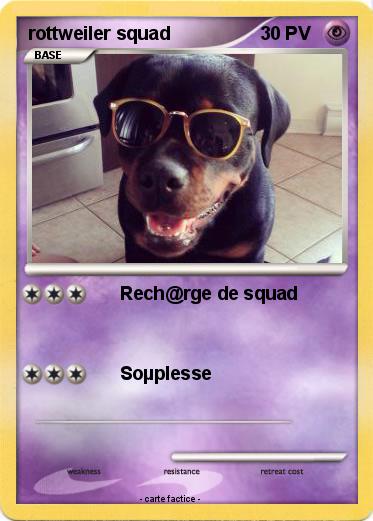 Pokemon rottweiler squad