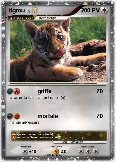Pokemon tigrou