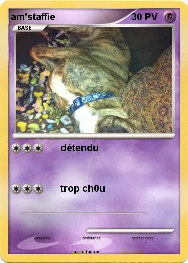 Pokemon am'staffie