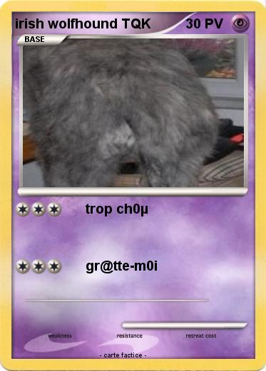 Pokemon irish wolfhound TQK