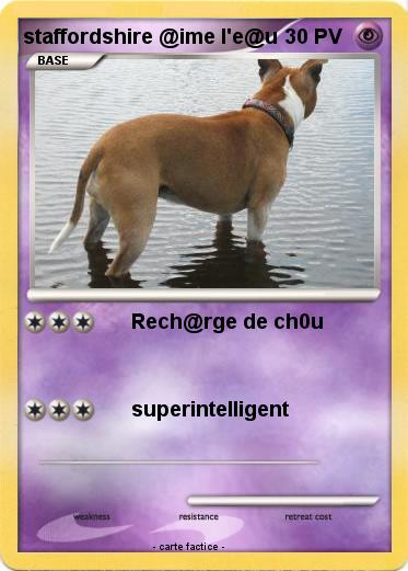 Pokemon staffordshire @ime l'e@u