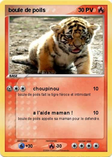 Pokemon boule de poils 