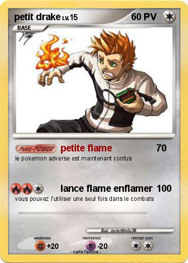Pokemon petit drake