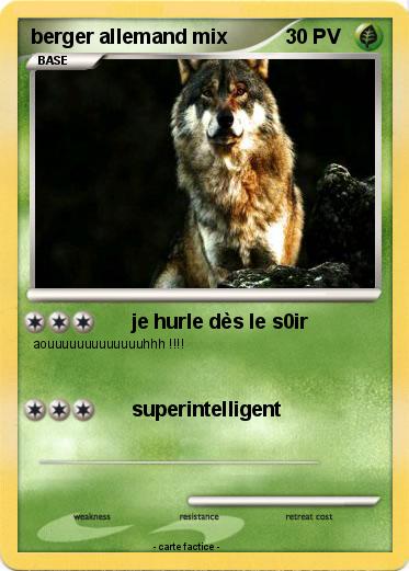 Pokemon berger allemand mix