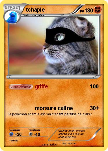 Pokemon tchapie