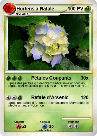 Pokemon Hortensia Rafale