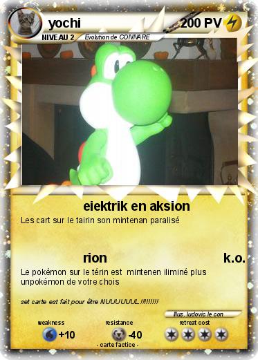 Pokemon yochi